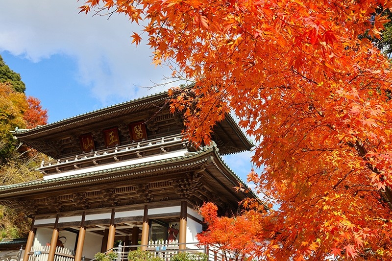 大窪寺